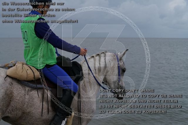s_K3F04939.JPG